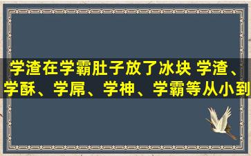 学渣在学霸肚子放了冰块 学渣、学酥、学屌、学神、学霸等从小到大来排到底是怎样的